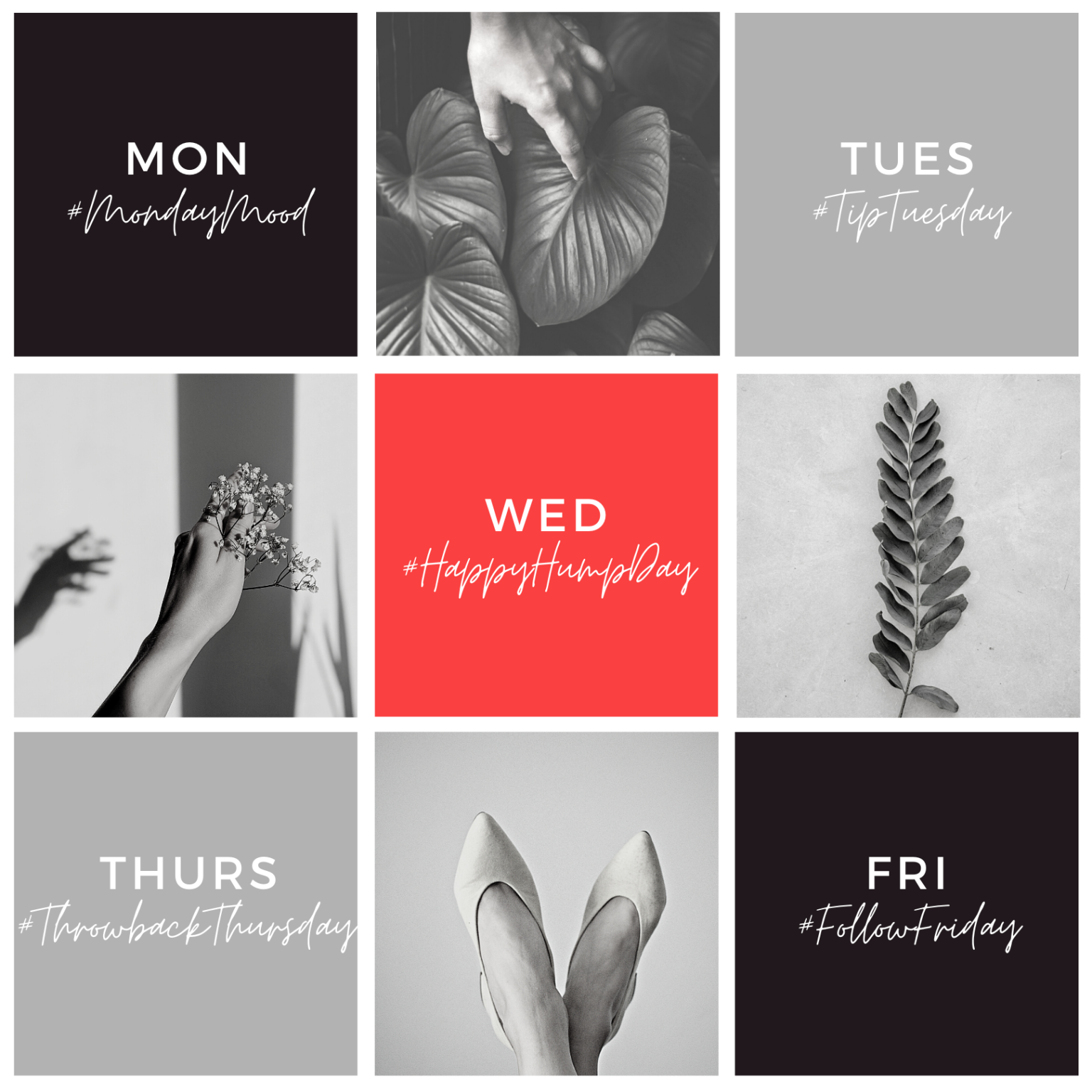 The best hashtags for professional service businesses